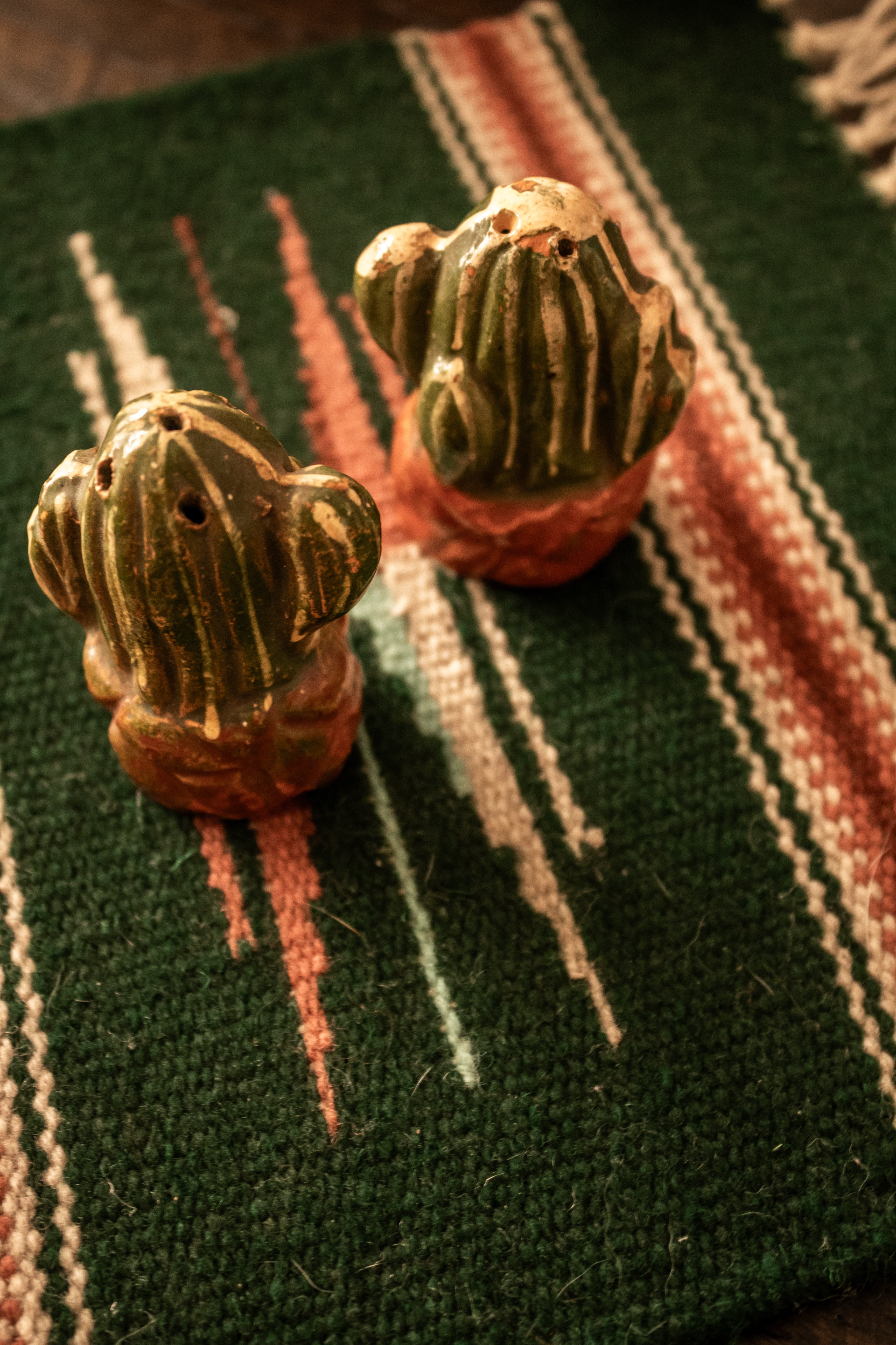 VTG* Cactus S/P shakers
