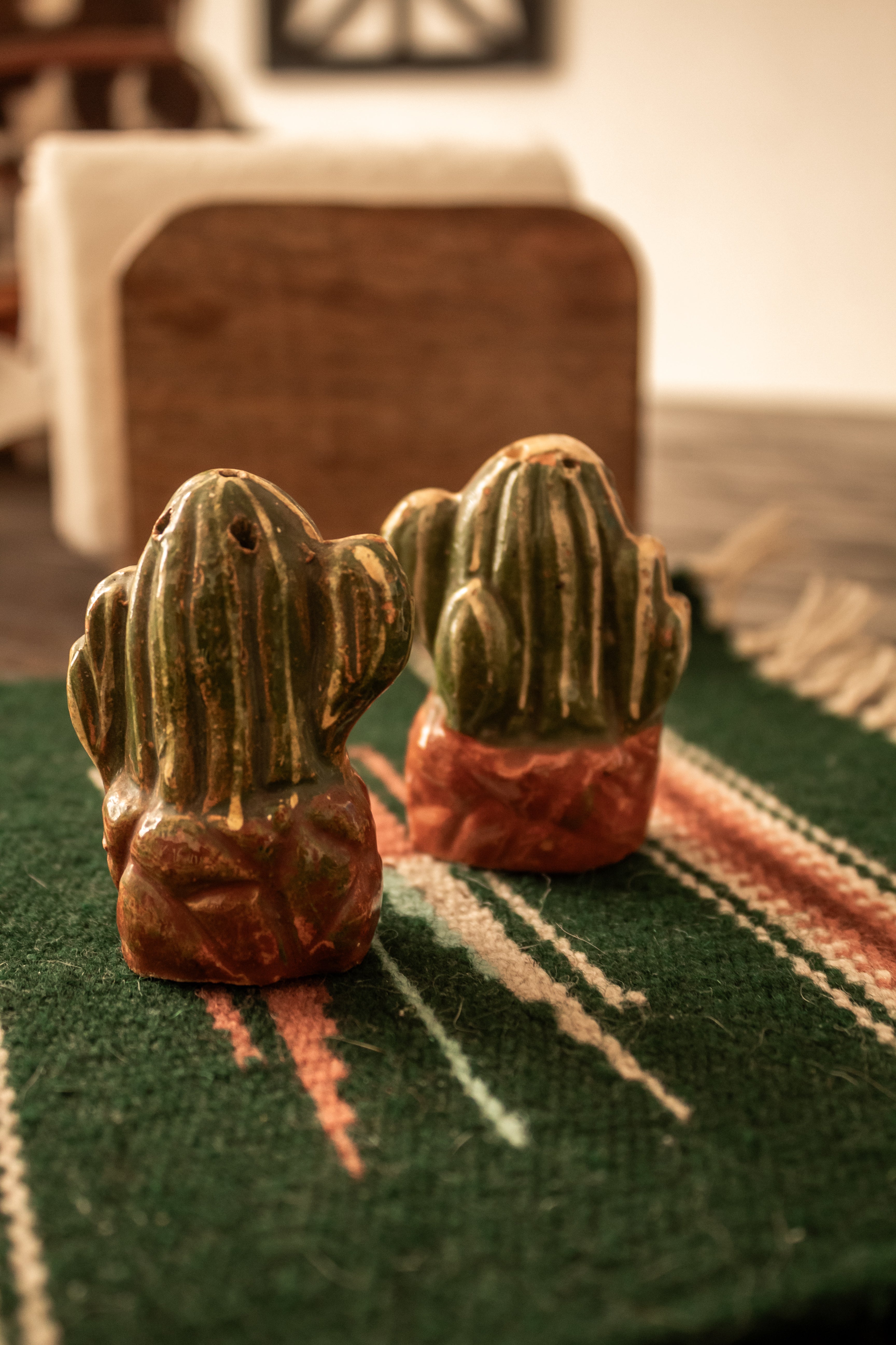 VTG* Cactus S/P shakers